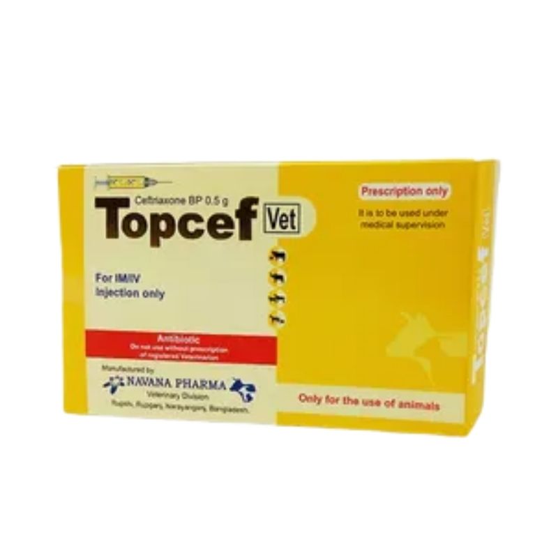 Topcef 0.5gm Vet Topcef 0.5gm Vet