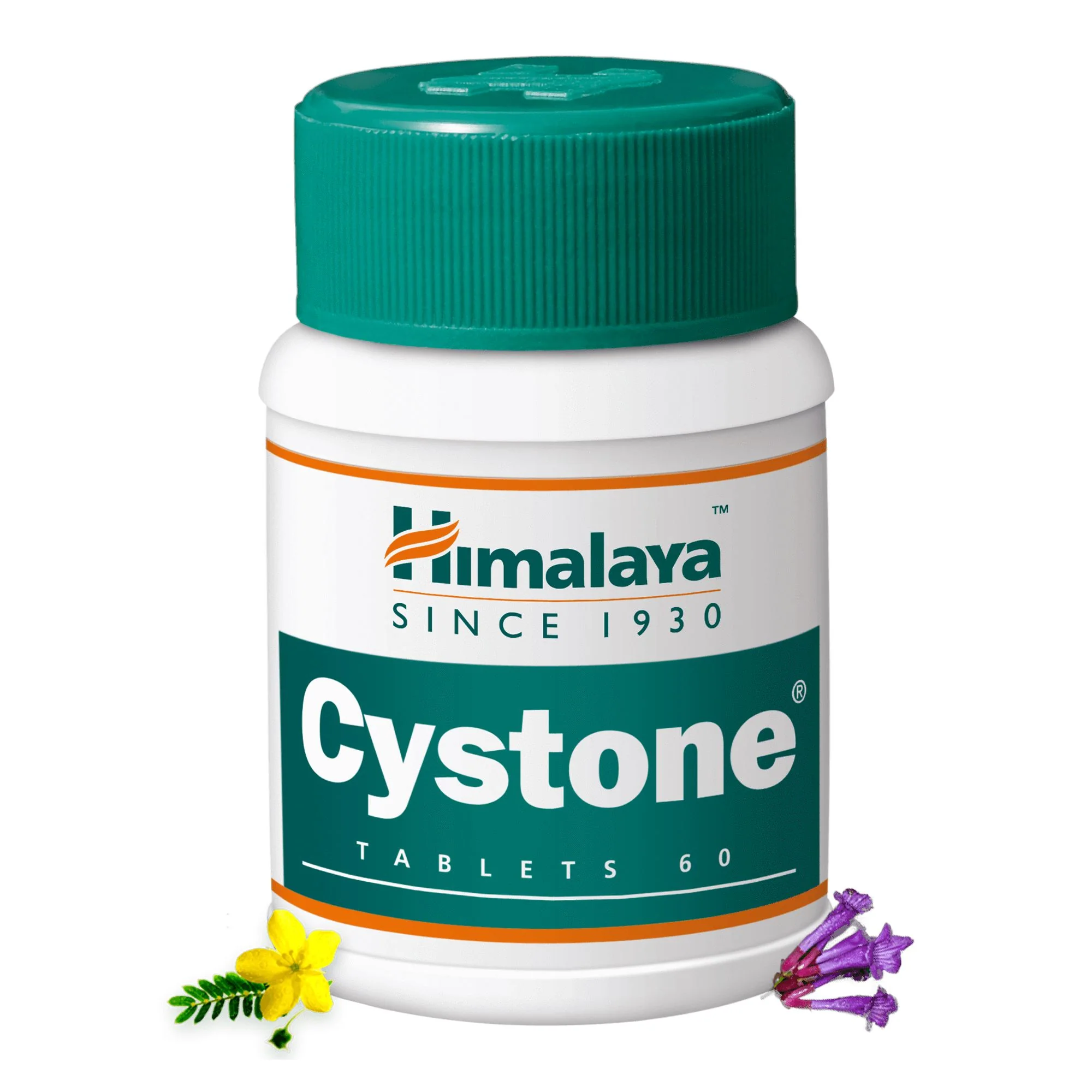 Cystone_Tablets_-_2000x2000_82eb36d0-3cd6-475a-84ec-82db2ae4195b Himalaya Cystone 60 Tablets - Image 1